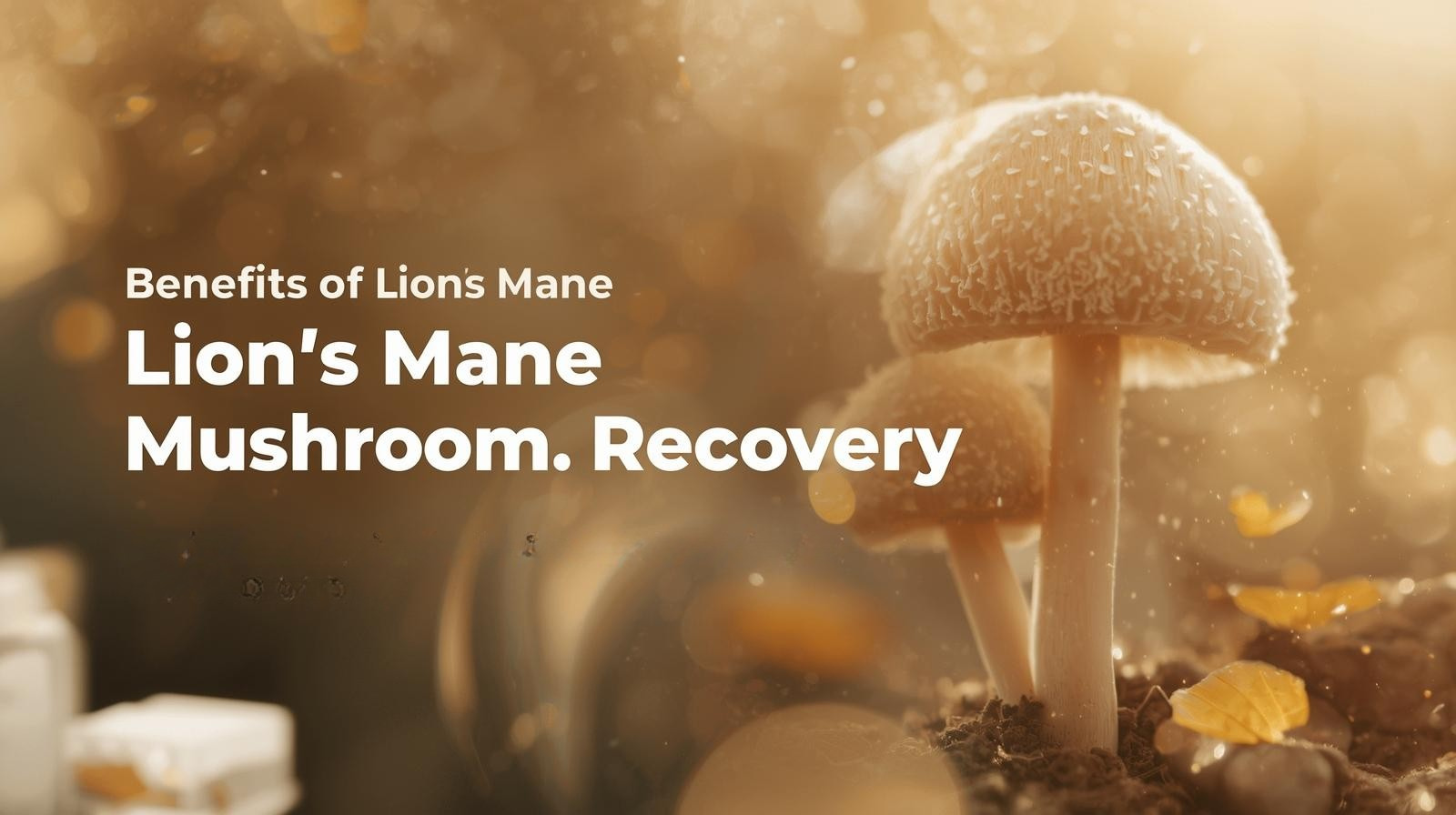 Why Lion’s Mane UK Supplements Boost Your Focus and Recovery.